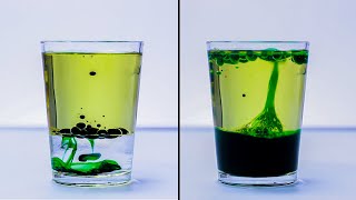 EASY SCIENCE EXPERIMENTS THAT WILL AMAZE KIDS [upl. by Ahseirej]