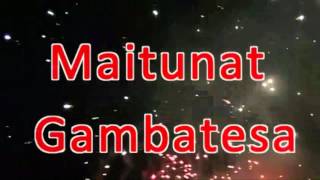 Capodanno Gambatesano 2016  PARODIA [upl. by Cyrie253]