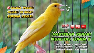 Kenari GACOR‼️ Masteran Burung Kenari PAUD dan Pancingan Kenari MACET BUNYI EPISODE 1553 [upl. by Adlar]