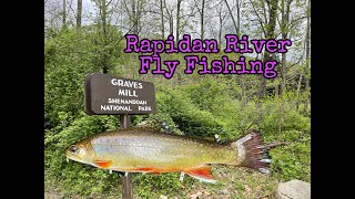 Fly Fishing the Rapidan River Native Brook Trout [upl. by Appleby]