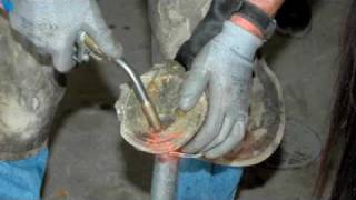 Farrier Quick Takes Red Renchin Treating Long Toe Low Heel [upl. by Cristobal909]