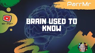 Brain Used To Know Song [upl. by Ezaria]