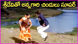 NTR And Sridevi Super Hit Video Song  Satyam Shivam Movie Songs  Telugu Super Hit Video Songs [upl. by Sumedocin]