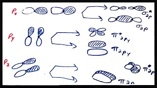 Molecular Orbital Theory IV Period 2 Homonuclear Diatomic Molecules [upl. by Cired]