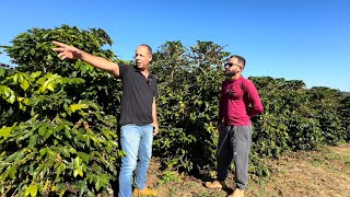 ELE ESTÁ DEIXANDO A ADVOCACIA PARA VIVER DA PRODUÇÃO DE CAFÉ [upl. by Anivahs570]