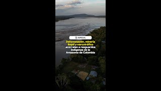 Deforestación minería ilegal y narcotráfico acorralan a resguardos indígenas de Colombia [upl. by Fraya]