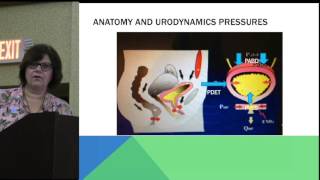 Urodynamics I  Basic [upl. by Ahseal]