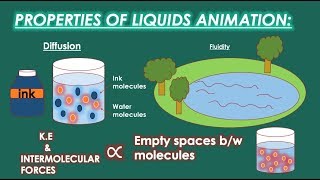 Properties of Liquids Class 11 Chemistry Chapter States of Matter 2 Liquids [upl. by Elrahc]