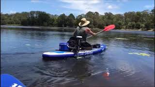 Watersnake T24 Electric Motor mounted on Standup Paddle Board [upl. by Anneliese514]