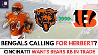 RUMOR Bengals CALLING BEARS For RB KHALIL HERBERT Chicago Bears News and Rumors [upl. by Amend163]