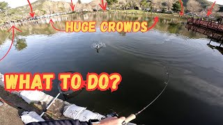 How To Navigate Massive Crowds And Still Catch Trout  Trout Fishing Tips And Techniques [upl. by Srini]