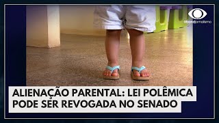 Alienação parental lei polêmica pode ser revogada no Senado  Bora Brasil [upl. by Anneis]