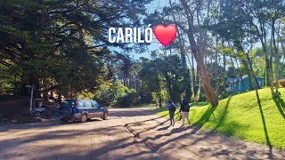 Caminata en Cariló Argentina 🌲🇦🇷❤️ carilo travel argentina viral [upl. by Pheni445]