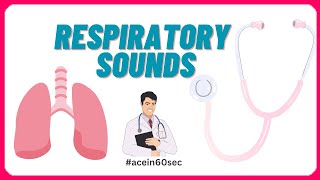 Respiratory Sounds  Abnormal Breath sounds acein60sec clinical [upl. by Damaris898]