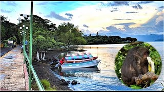 Catemaco Así es el recorrido en la Laguna  Un lugar increíble [upl. by Anhsirk]