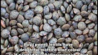 How to Grow Puy Lentil Sprouts [upl. by Riobard]