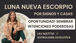 SIEMBRA CON GRAN POTENCIAL ✨ Luna Nueva Escorpio ✨ 13 de noviembre ✨ Finaliza TEMPORADA DE ECLIPSES [upl. by Hartmann542]