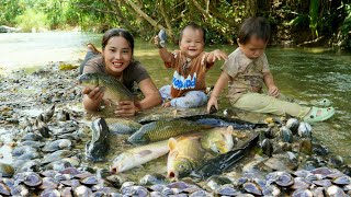 How to catch giant fish and oysters to sell at the market with your children [upl. by Salohcin963]