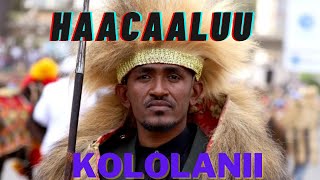 Haacaaluu Hundeessaa  Biliqqisee Koo  Oromo Music [upl. by Aimar]