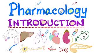 Pharmacology Intro  Pharmacokinetics Pharmacodynamics Autonomic Neuro Cardiac Respiratory GI [upl. by Burd32]