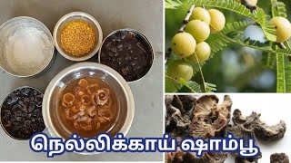 நெல்லிக்காய் ஷாம்பூ  Dry Amla fortified shampoo  hair fall control  premature grey hair  Tamil [upl. by Ossie]