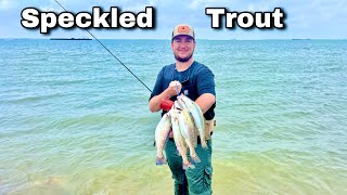 I CAUGHT my LIMIT Wade fishing for SPECKLED TROUT in Galveston Bay [upl. by Pooh]