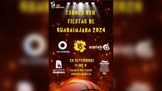 TORNEO BSR FIESTAS DE GUADALAJARA  CDILUNION VS AMIABALBACETE  BSR WHEELCHAIR 2024 SPORTS [upl. by Nylahs734]