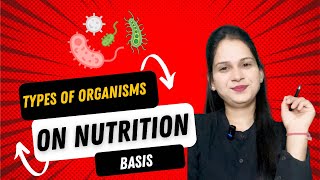 Types of organisms on the basis nutrition [upl. by Retnuh]