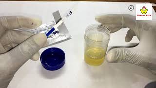 How to perform HCG Pregnancy test at home [upl. by Rossie]