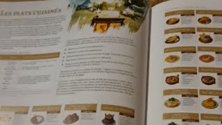 Encyclopédie Complète Zelda Breath Of The Wild page par page [upl. by Tilagram738]