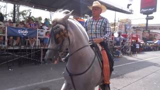 CARNAVAL LA CEIBA HONDURAS Caballo de raza [upl. by Ogawa]