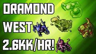 Tibia Where to Hunt  MSED 150 Oramond West 26kkhr  228 [upl. by Acemaj]