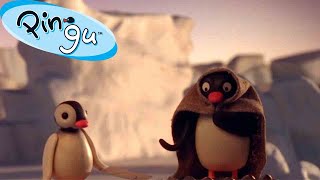 Pingus Favorite Time of the Year 🐧  Pingu  Official Channel  Cartoons For Kids [upl. by Cyril]