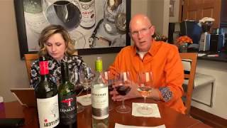 Wine Tasting on Your Couch Week 7 Trivento Torrontes Riccitelli Malbec and Tamari MalbecCab Franc [upl. by Sema]