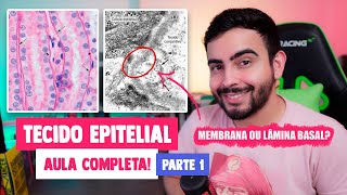 Histologia  Tecido Epitelial Estroma e Parênquima Lâmina Basal Capítulo 4  PARTE 1 │JUNQUEIRA [upl. by Anchie]