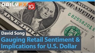 DailyFX Gauging Retail Sentiment amp Implications for US Dollar [upl. by Ploch833]