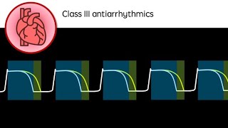 Class III Antiarrhythmic drugs [upl. by Adnical436]