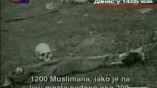 Brief Facts  Srebrenica Massacre And Other Myths Of Bosnia [upl. by Maker692]