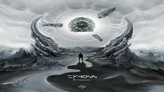 Zymosis  Timeless  Full Album Mix [upl. by Guinn]