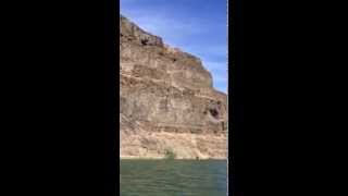 Cow falls from 900 feet from coulee cliff in the Blue Lake basin Near Soap Lake area [upl. by Nyrem]