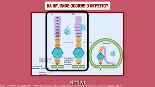 Aspectos bioquímicos da Hipercolesterolemia familiar HF [upl. by Dichy]