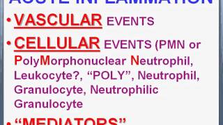 Acute And Chronic inflammation [upl. by Pfosi101]