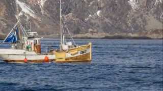 VM i Skreifiske 2014 Lofoten [upl. by Yeltsew595]