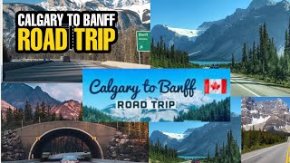 Canada 🇨🇦 Calgary road trip  beautiful scenery [upl. by Leal]