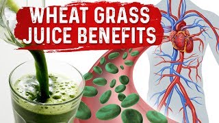 Green Blood Therapy – Benefits of Wheatgrass Juice Powder – DrBerg [upl. by Castra]