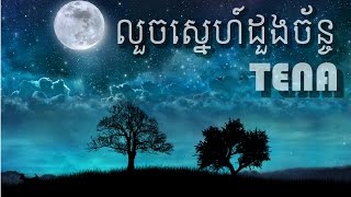 Tena  My Crush លួចស្នេហ៍ដួងច័ន្ទ Remix Official Audio Lyrics [upl. by Nannette336]