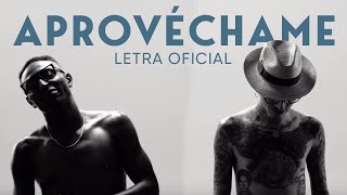 Aprovéchame  Yoky Barrios Ft Nanpa Básico LETRA [upl. by Samanthia]