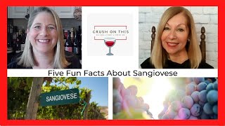 Five Fun Facts About Sangiovese [upl. by Annuahsal60]