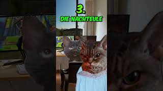 FERIEN 🥳 Arten von Schülern in den Herbstferien katzenvideos memes ferien schule shorts [upl. by Hollah227]