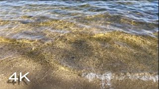 Water Lapping on Lake Sound Effect and Stock Video  Crisp Sounds of Lake Waves Lapping Against Dock [upl. by Roath]